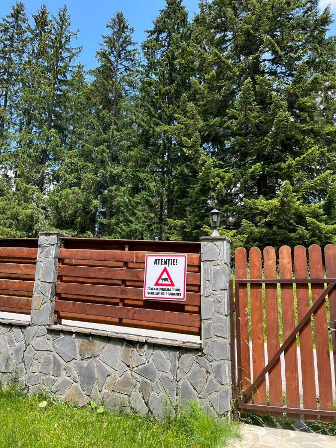 Vila 7 Predeal - Unique Location In The Forest Dış mekan fotoğraf